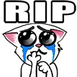Rip