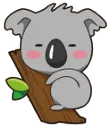 cling cling