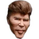 bog