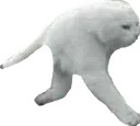 SmoothCat