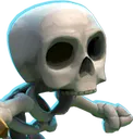 skeleton