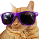 CoolCat