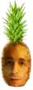 slashapple slashapple