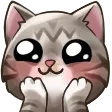 chrisisShucks
