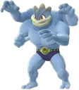 Machamp