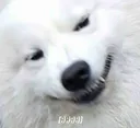 3333 3333