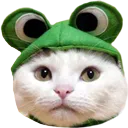 frogat