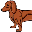 hanjWEINER1
