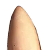 ZPCone1