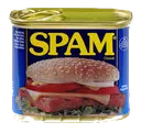spam spam