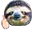 SeemsSloth