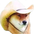 tarnation tarnation