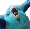 CONSUME