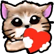 HEARTS HEARTS