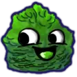 bush