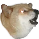 hempDog