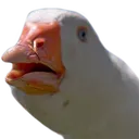 DolanDark