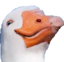 dolandark2