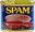 spam