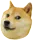 doge