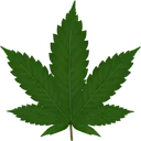 cannabisleaf