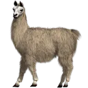 Llama1