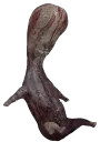 funkyfetus