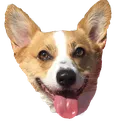 jwynCorg
