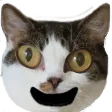 arcusChamp