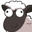 gordoDerp