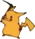 PikaHadEnoughOfThis