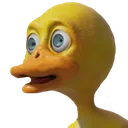 duck duck
