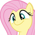 flutternice