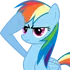 rdsalute rdsalute