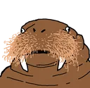 walrus