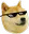 cool_doge