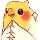 birb