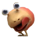 bulborbyum bulborbyum