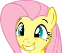 fluttersquee
