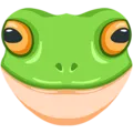 frogSTARE