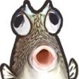 tdogFish