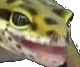 REEEEEEE