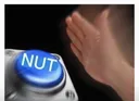 nut