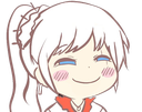 :smug: Discord Emote