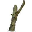 advStick