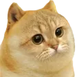 hisoKate