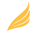 ace