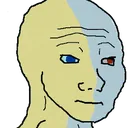 vehkfeels