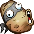 ninjaaP
