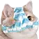 PantsuCat